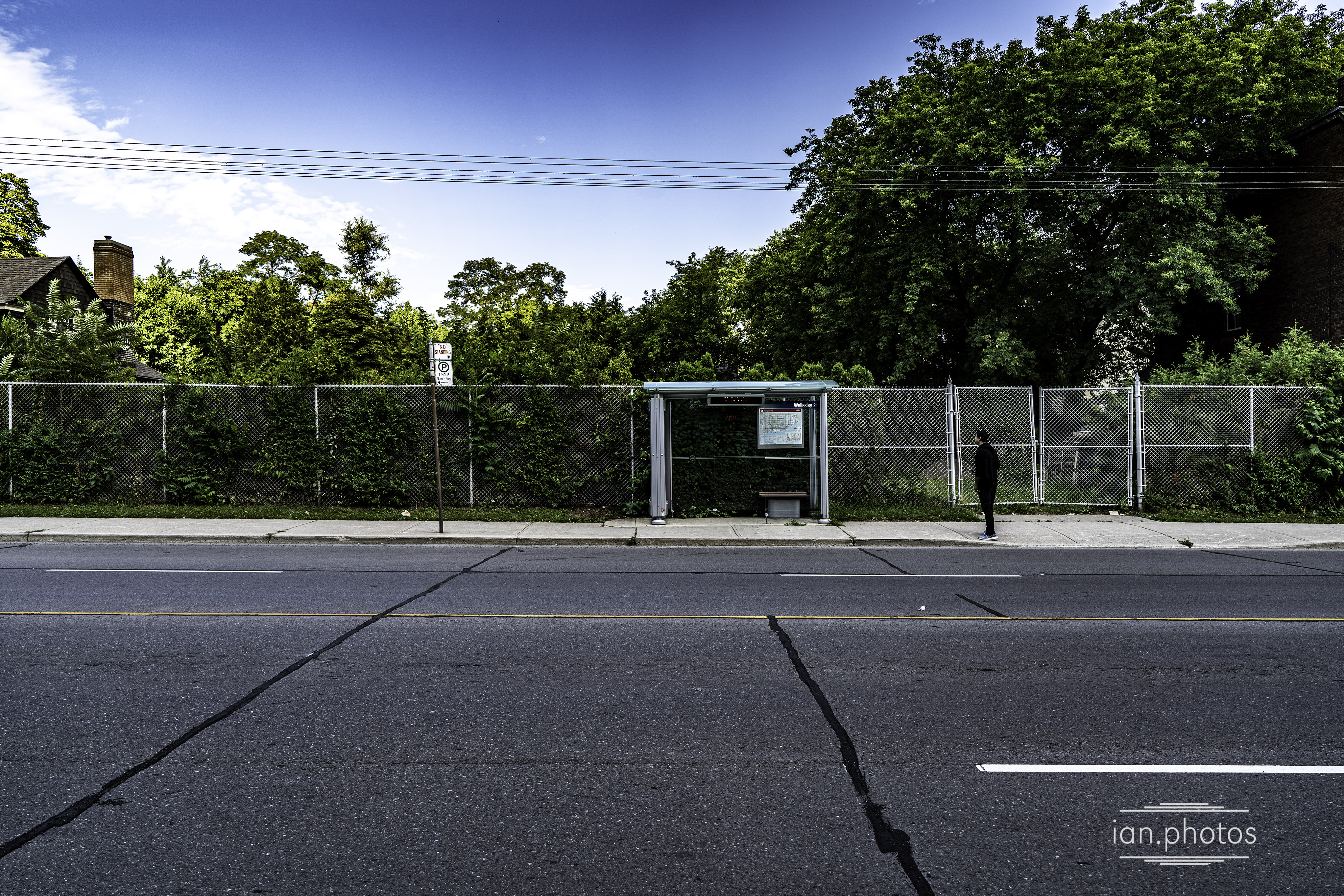 Person Waiting near a TTC bus Stop. | ian.photos