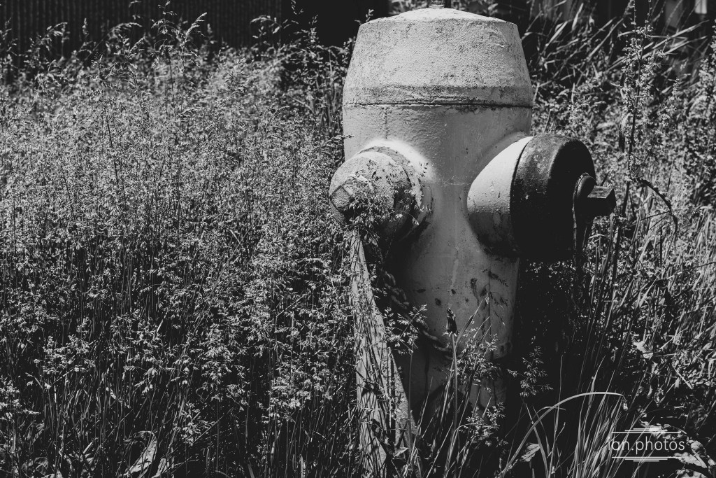 Fields and Fire&nbsp;hydrants
