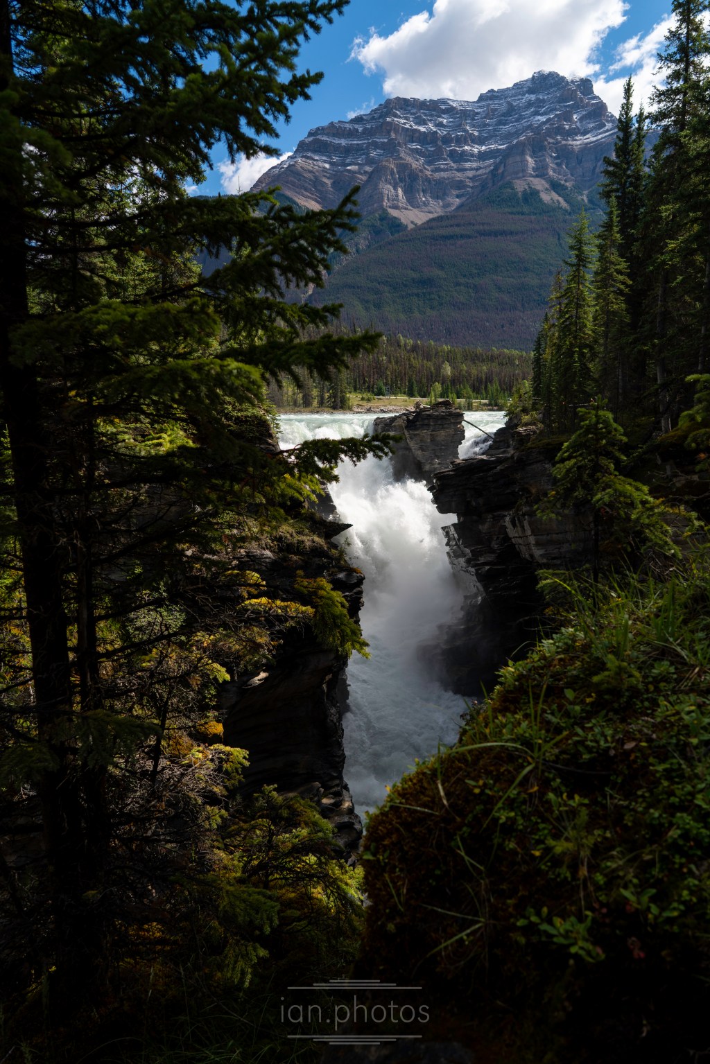 Athabasca Falls