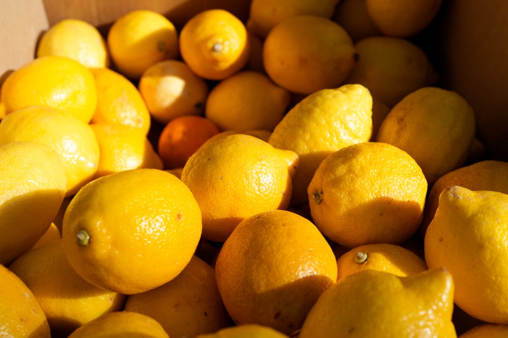 When life gives you&nbsp;lemons…